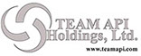 Team API logo www.teamapi.com